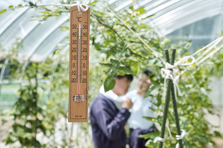 男人和女人在耕种图片