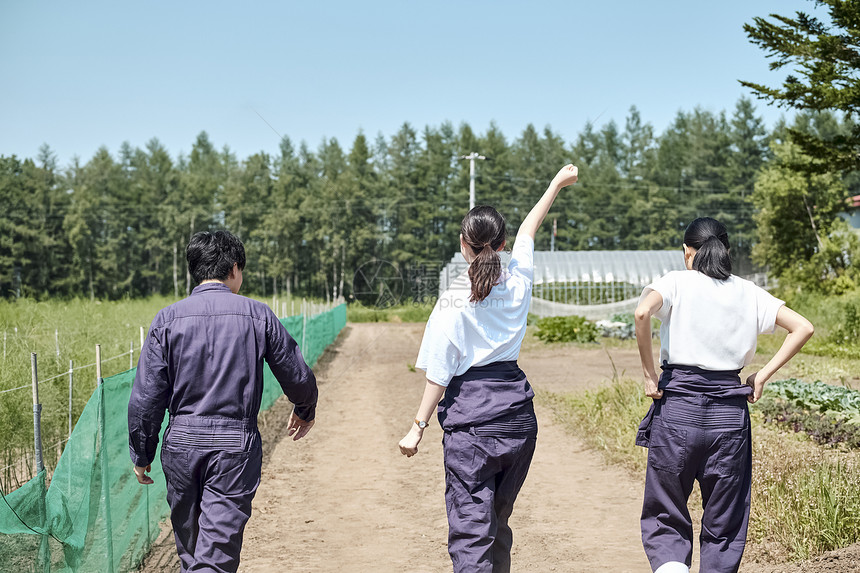 同学们学习农业背影图片