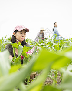 女人在农田里干活图片