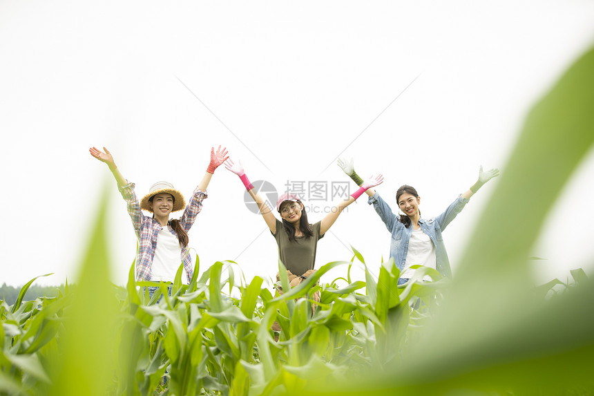 快乐兼职工作日本人女农业伴侣图片