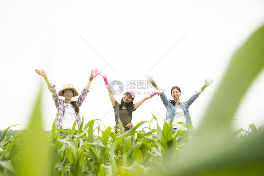 田地农夫女士女农业伴侣图片