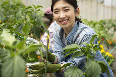 户外亚洲人工服女农业伴侣背景图片