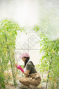 30多岁女生工服女农业背景图片