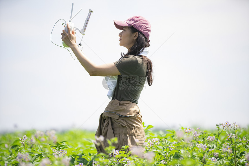 有机女人田地女农业无人机图片