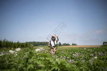 摇动蓝蓝的天空农药喷洒女农业无人机图片