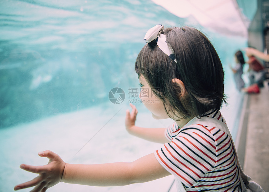 人类小孩少女水族馆儿童女孩图片