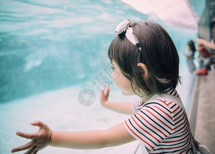 人类小孩少女水族馆儿童女孩图片