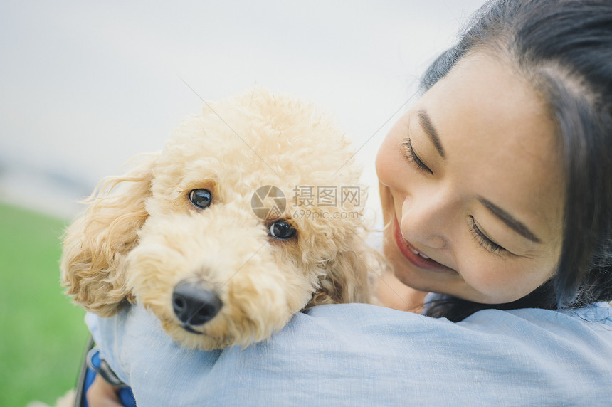 走路亚洲日本人狗和osanpo图像图片