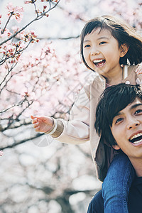 小孩假期赏花樱花春天图片