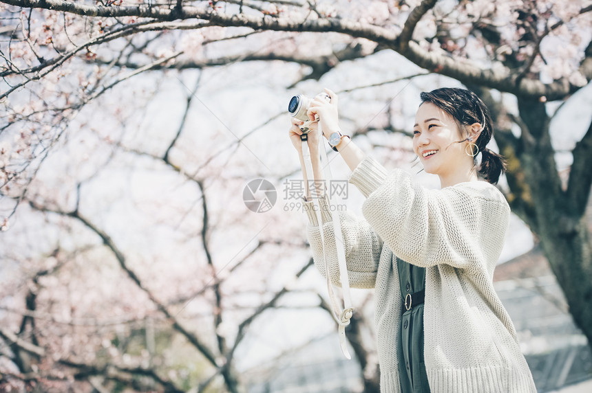 单人女士人类樱花拍照片的春天妇女图片