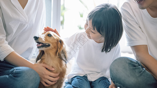 幸福一家人养着可爱的宠物狗图片