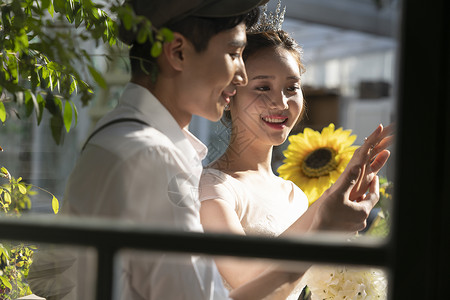 向日葵婚礼年轻情侣室内拍婚纱照背景