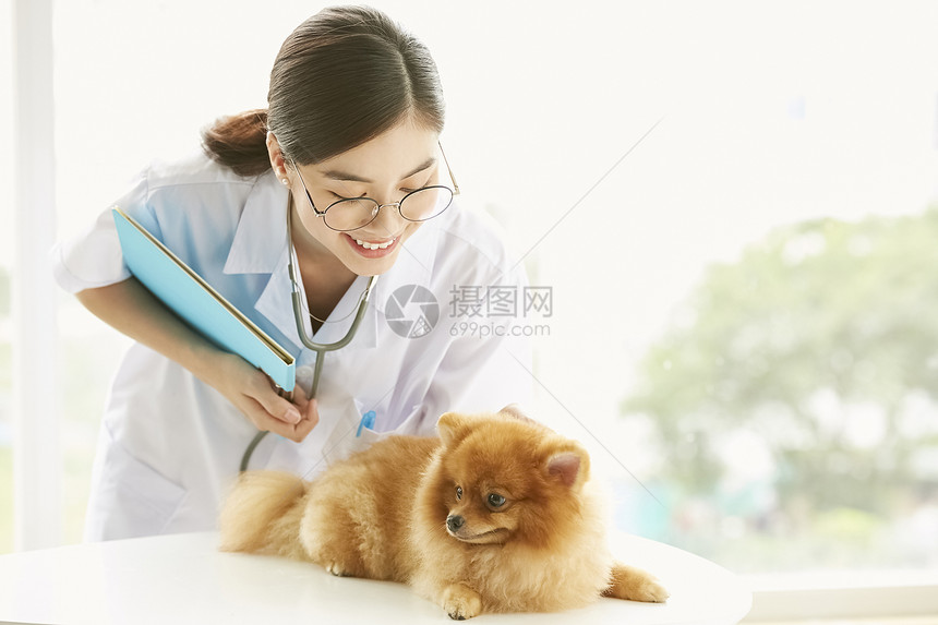 漂亮的宠物医生检查狗狗身体图片