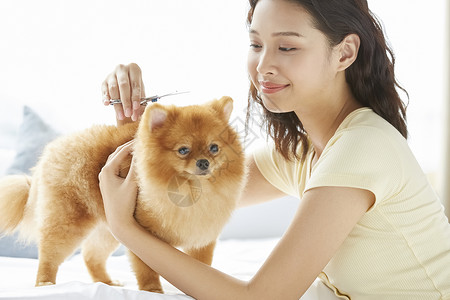 薄片乐趣休闲和小狗一起生活的年轻女子高清图片