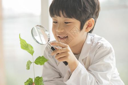 小男孩用放大镜观察绿植高清图片