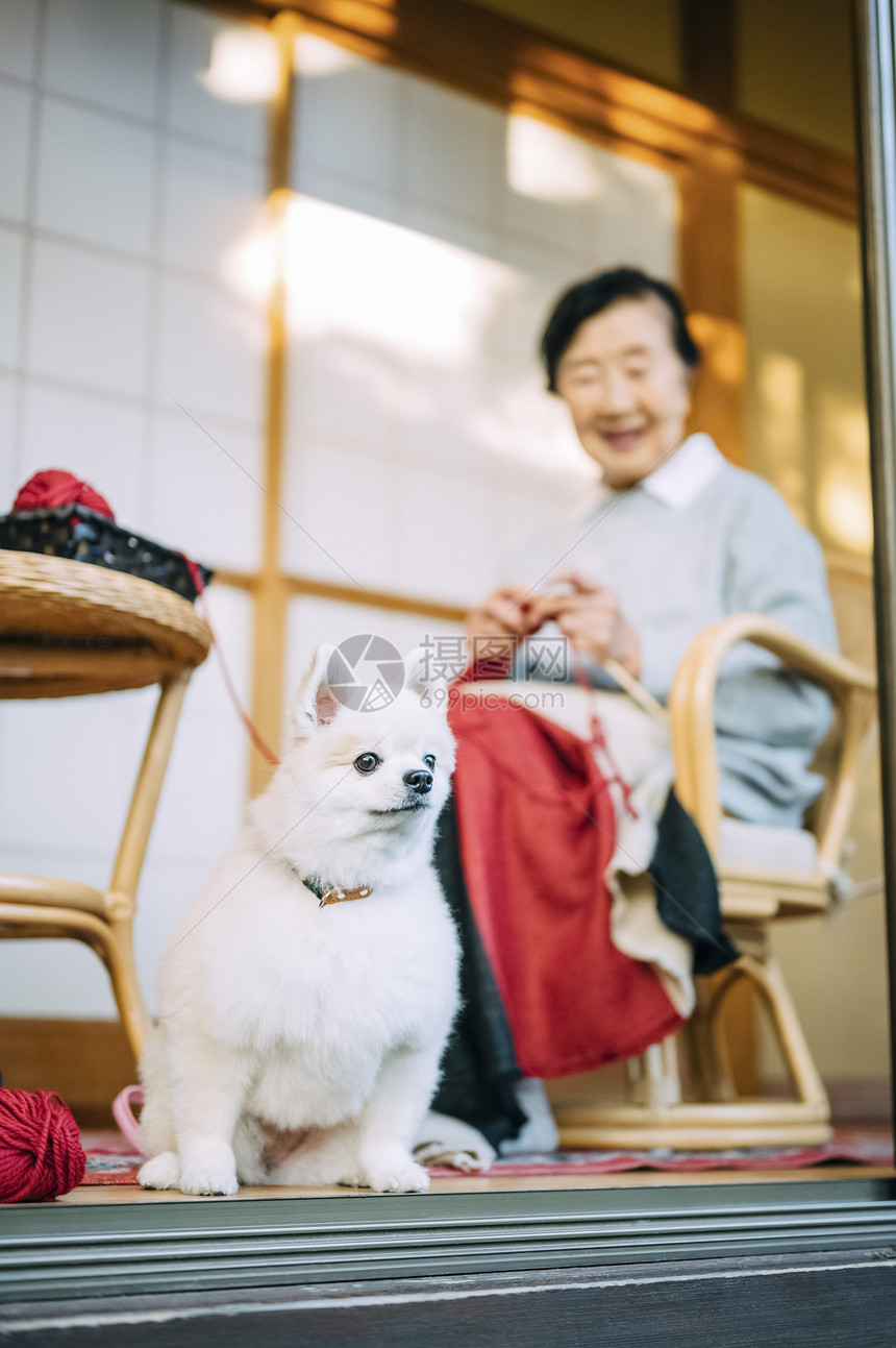 老人的居家幸福生活图片