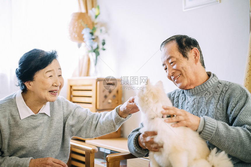 坐在沙发上和博美犬玩耍的老年夫妇图片