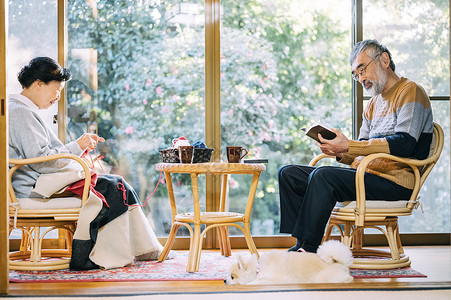 客厅里织毛衣看书的老年夫妻图片