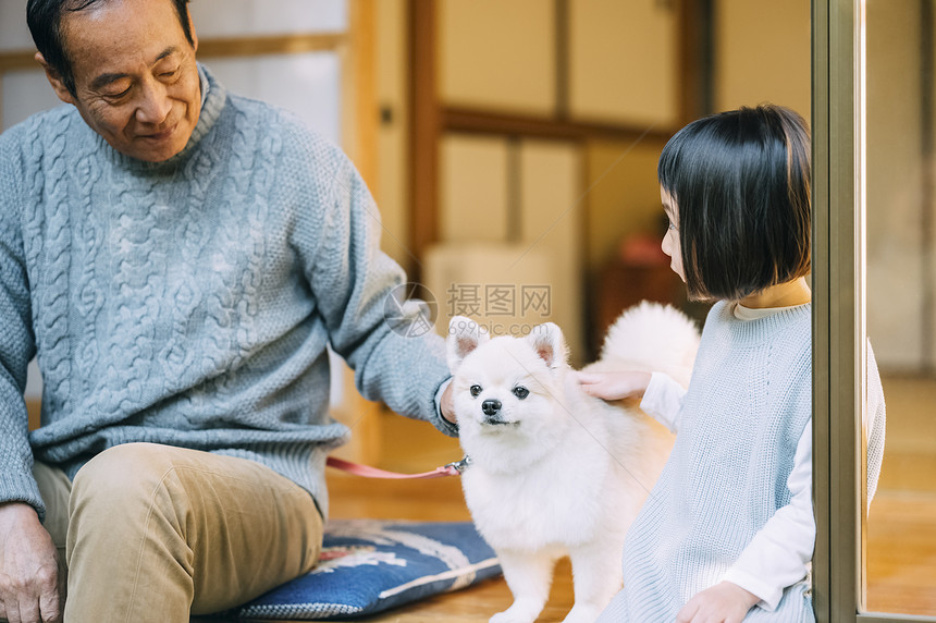 摸着博美犬的祖孙图片