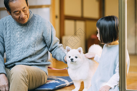 摸着博美犬的祖孙图片