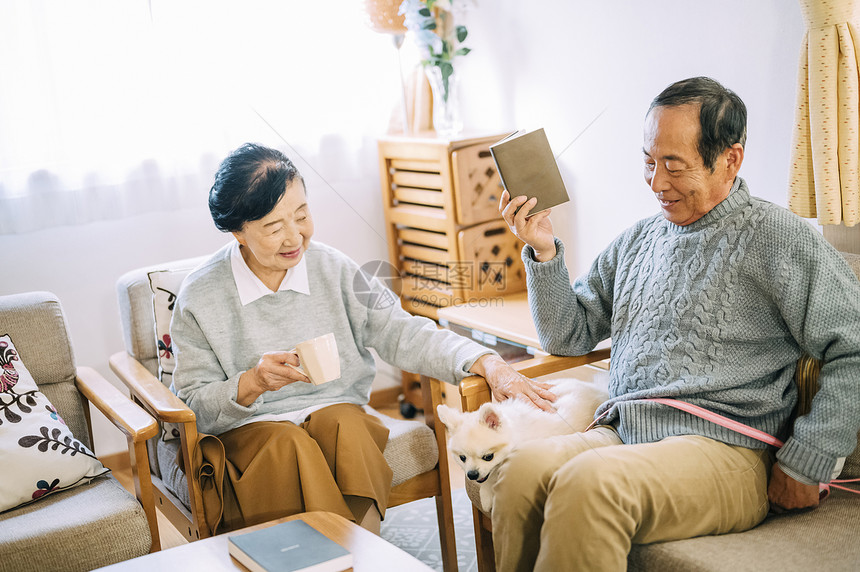 沙发上的老人和白色博美犬图片