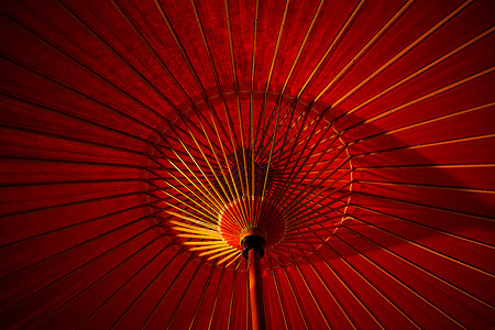 大朵特色花中国传统古风油纸伞内部背景