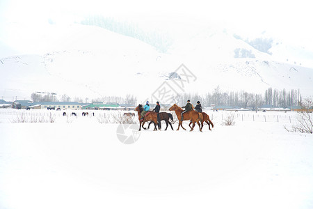 冬日新疆伊宁5A景区那拉提草原雪地上骑马少年冬天高清图片素材