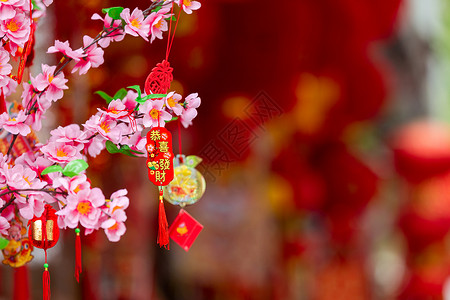 新年新春春节福袋图片