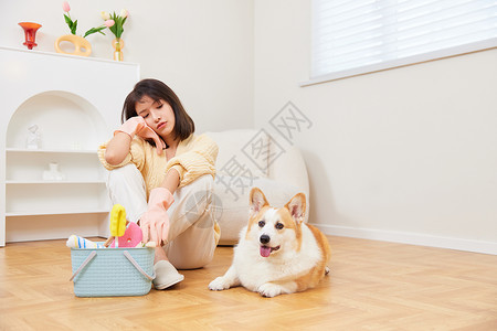 妨碍大扫除的宠物犬背景