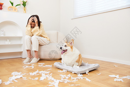 萌小妮生气面对搞破坏的宠物头疼的女性背景