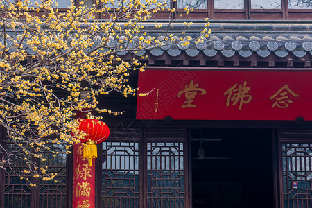 南京5A级景区灵谷寺古建筑与蜡梅背景图片