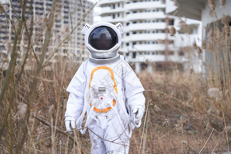 外面的宇宙枯萎芦苇草中的宇航员背景