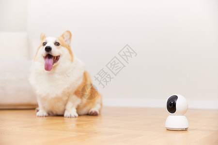 家居监控使用智能监控设备宠物摄像头背景