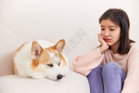 看着宠物犬表情不开心的女性背景图片