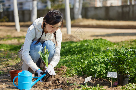 女性在户外进行种植作业形象顽强高清图片素材