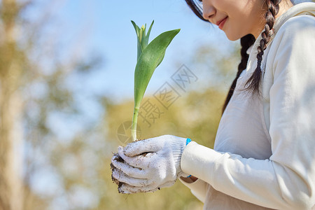 双手捧着花苗的女性背景图片