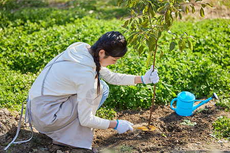 环保女性室外种植树苗高清图片