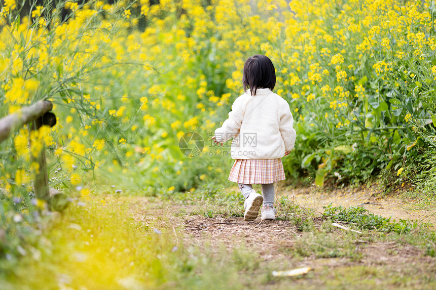 在田间花田中奔跑的小女孩背影图片