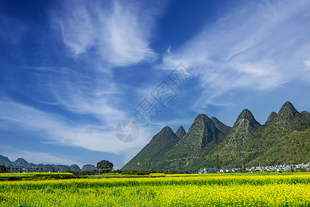 春天出游欣赏盛开的油菜花美丽乡村高清图片素材