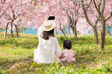 春天樱花树下母女踏青图片