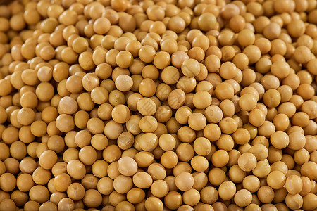 黄豆农产品背景图片素材