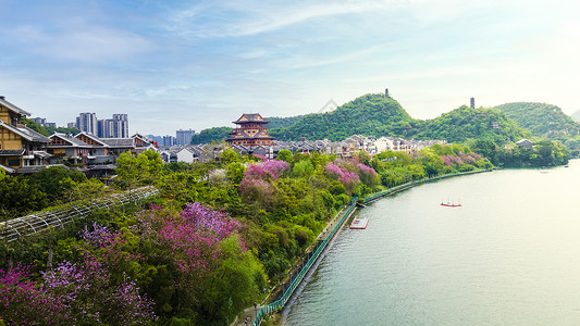 江边景色鲜花建筑图片