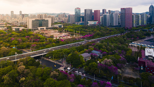 春天的城市街道高清图片素材