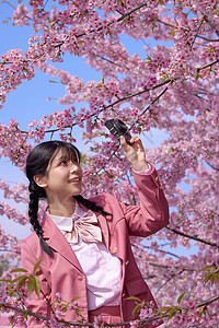 美女大学生樱花写真背景图片