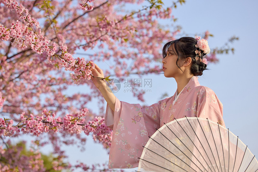 穿和服的樱花少女图片