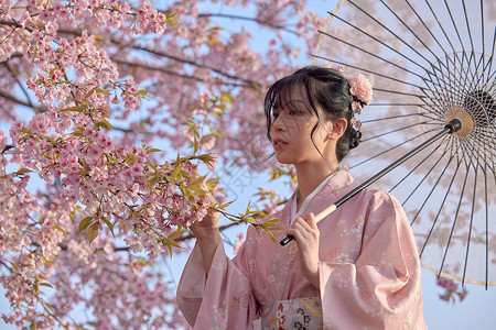 撑伞的日系清新和服樱花美女图片