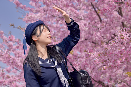 日系美女初春赏樱花图片