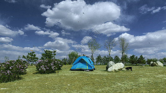 露营,内蒙古初夏户外帐篷人物郊游高清图片