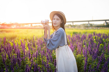 鼠尾草花海里的少女高清图片