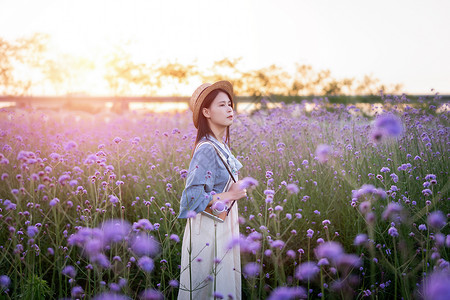 深圳光明农场马鞭草花海里的少女背景